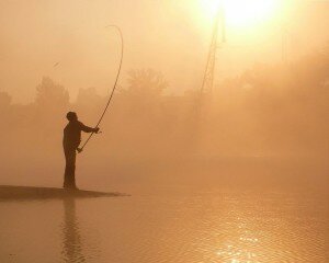 Выбор спиннинга для рыбалки — обзор важных параметров и лучших моделей