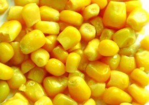 Зерна кукурузы - отличная насадка для ловли карпа на пружину