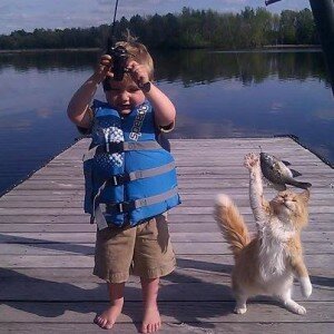 Кошка и мальчик на рыбалке