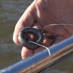 Кольцо - снасть для рыбалки на леща с лодки