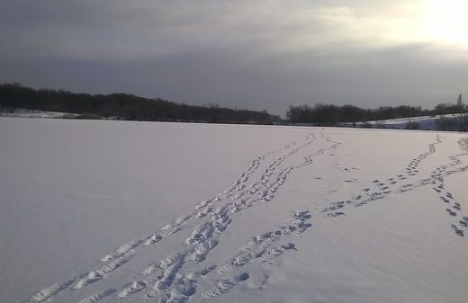 рыбалка по первому льду